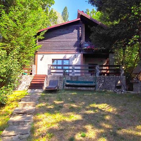 Mountain Family Chalet On Prahova Valley Comarnic Exterior photo