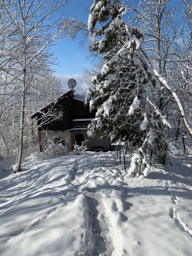 Mountain Family Chalet On Prahova Valley Comarnic Exterior photo