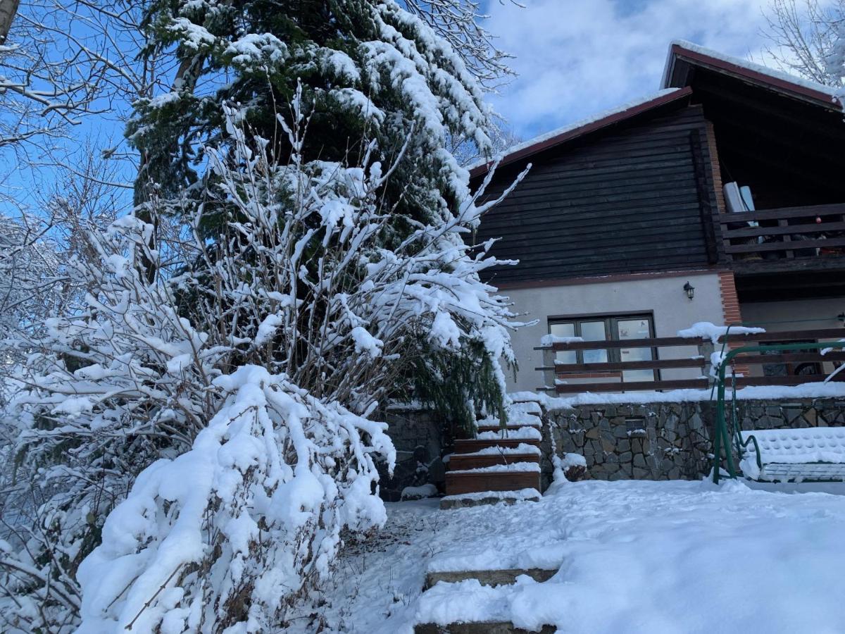 Mountain Family Chalet On Prahova Valley Comarnic Exterior photo