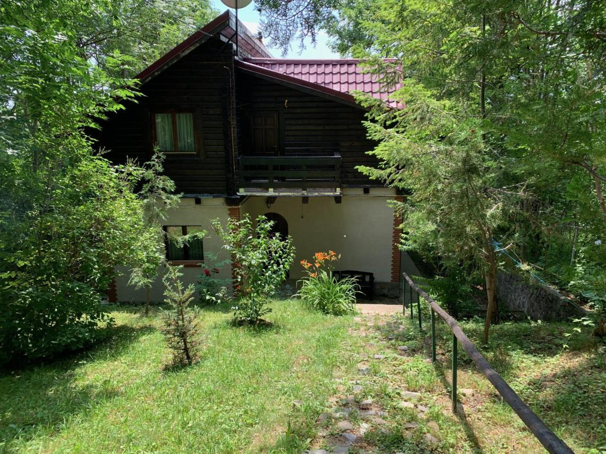 Mountain Family Chalet On Prahova Valley Comarnic Exterior photo